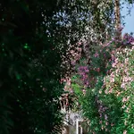 Ktima Papaoikonomou 2 Apartament *