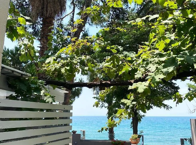 Daire Ktima Papaoikonomou 2