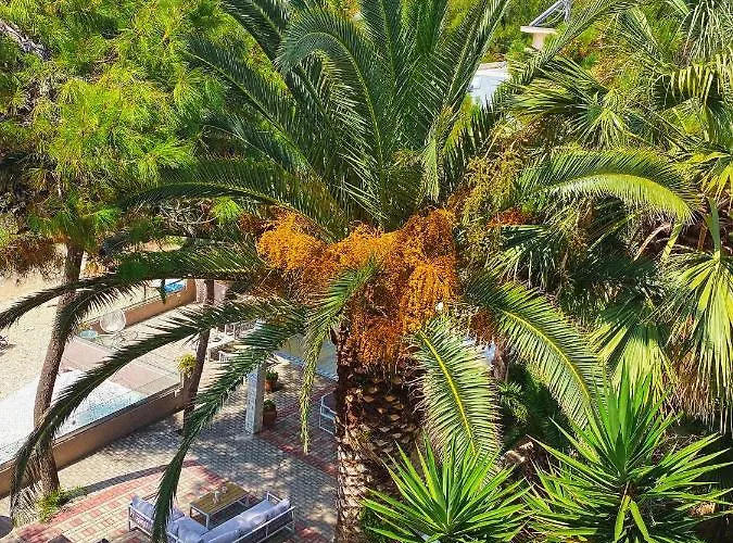 Ktima Papaoikonomou 2 * 波托什