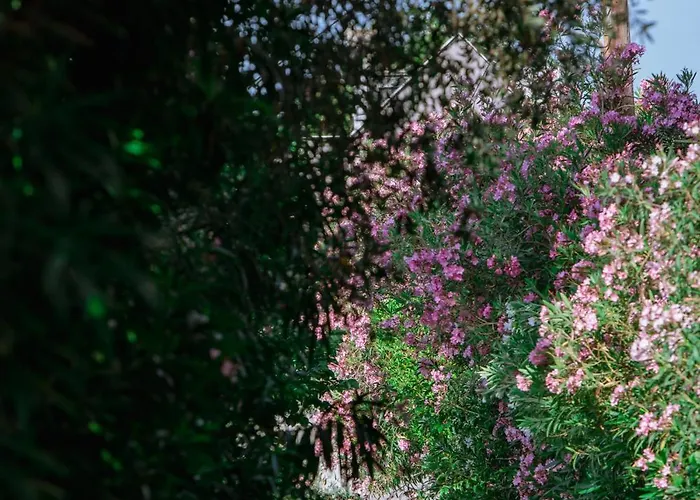 Ktima Papaoikonomou 2 Daire *